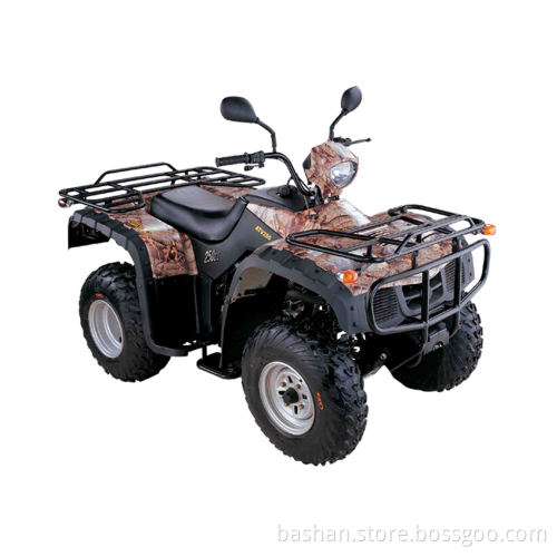 BS250S-5 atv